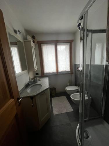 uma casa de banho com um lavatório, um WC e um chuveiro em Appartamento incantevole con box e ski room, Wi-Fi, Bormio em Bormio