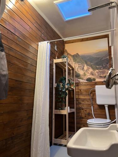 a bathroom with a shower and a toilet and a sink at Lo Chalet between Pisa and Cinque Terre in Carrara