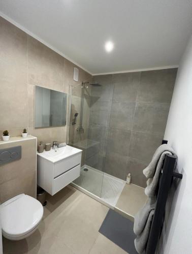 une salle de bain avec une douche, des toilettes et un lavabo dans l'établissement Studio rénové au Suquet à Cannes, à Cannes