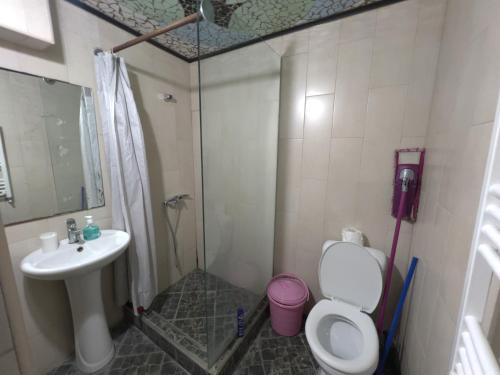 La salle de bains est pourvue d'une douche, de toilettes et d'un lavabo. dans l'établissement Aghmashenebeli Apartment, à Tbilissi