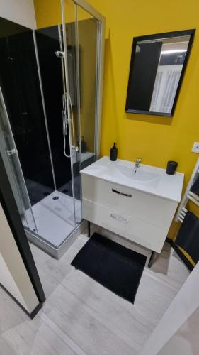 une salle de bain avec un lavabo blanc et une douche dans l'établissement Studio Orchidée, tout confort, rénové, à Saint-Quentin