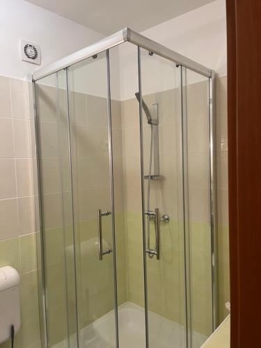 a shower with glass doors in a bathroom at Grace Apartman in Hajdúszoboszló