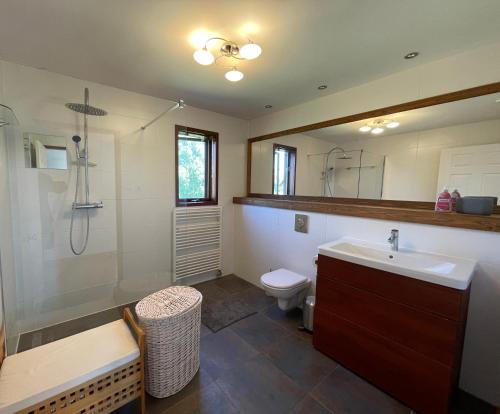 a bathroom with a sink and a toilet at Chalet Lomnica in Veľká Lomnica