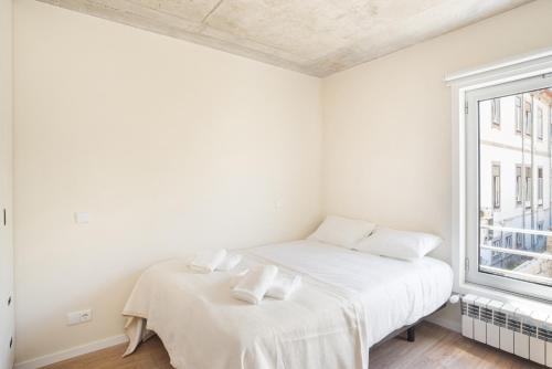 Large Studio Foz Cool Living