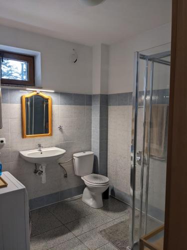 a bathroom with a toilet and a sink at INFINITA Bodice in Liptovský Mikuláš