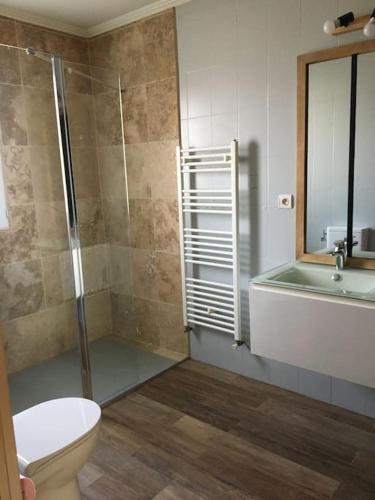 une salle de bain avec une douche, des toilettes et un lavabo dans l'établissement Grande villa avec piscine en Provence, à Beaucaire