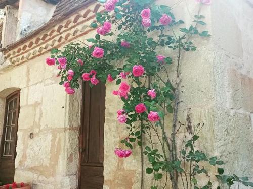 un montón de rosas rosas creciendo en un lado de un edificio en Domaine de La Barde apartments in the old walnut mill and forge, en Le Bugue