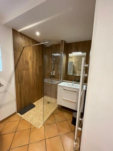une salle de bain avec douche et lavabo dans l'établissement Le Gîte du Prieuré, à Bellefond