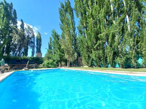 une grande piscine bleue avec des arbres en arrière-plan dans l'établissement La Pausa, Departamentos y Casas, à Chacras de Coria