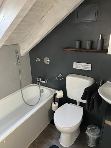 uma casa de banho com um WC branco e um lavatório. em Ferienwohnung Alex Mayer em Langenargen