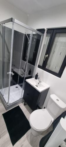 une salle de bain avec toilettes, douche et lavabo dans l'établissement Studio Aloe tout confort rénové, à Saint-Quentin