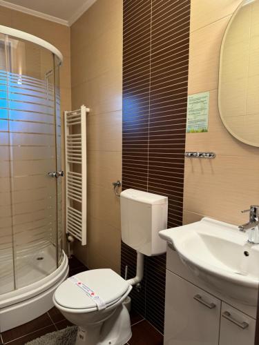 a bathroom with a toilet and a sink and a shower at Pansion Komfor Fitea in Osijek