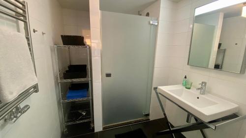 ベルゲン・アーン・ゼーにあるZeePanoramaのバスルーム(シャワー、シンク、鏡付)