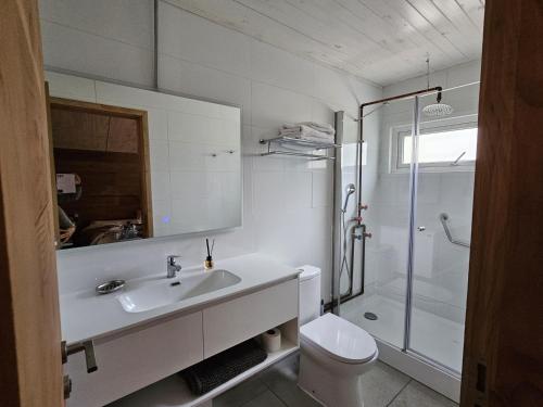y baño con lavabo, ducha y aseo. en Sollipulli Cabaña Chucao, Lodge Nevados de Sollipulli, en Melipeuco
