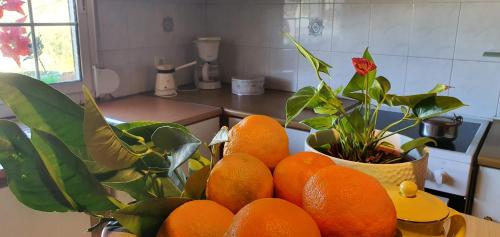a bowl of oranges on a table with a plant at VELANIDIA HOUSE in Rafina