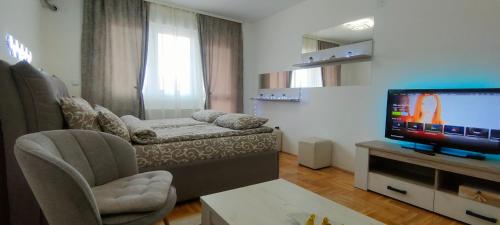 un soggiorno con divano e TV a schermo piatto di Apartman Ema a Valjevo