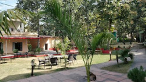 a palm tree in a yard with a table and chairs at MPT Jungle Camp, Panna in Rājgarh