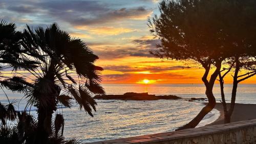 a sunset over the ocean with palm trees on a beach at Oliveres3 in L'Ampolla