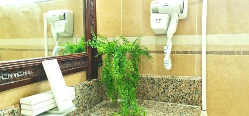a bathroom with a toilet and a mirror and a plant at Dreamland Paradise Resort in Batangas City