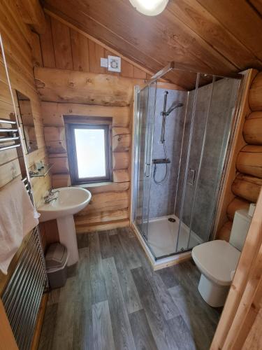a bathroom with a shower and a toilet and a sink at Mountain Edge Resort Lodge 2 with Hot Tub in Church Stretton