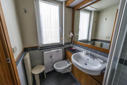 a bathroom with a sink and a toilet and a mirror at Hotel Drago in Mezzocorona