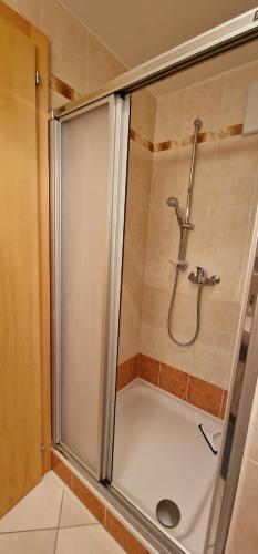 a shower with a glass door in a bathroom at Majis 4 in Champoussin
