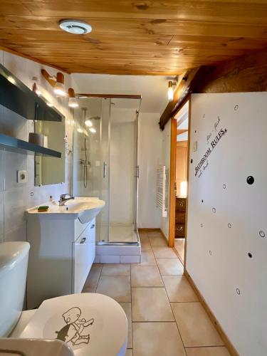 une salle de bain avec toilettes, lavabo et douche dans l'établissement Le Sanctuaire des Cimes Étoilées, à La Roche-des-Arnauds