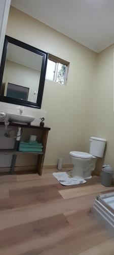 a bathroom with a toilet and a large mirror at El Roble cabañas tepa in Pucón