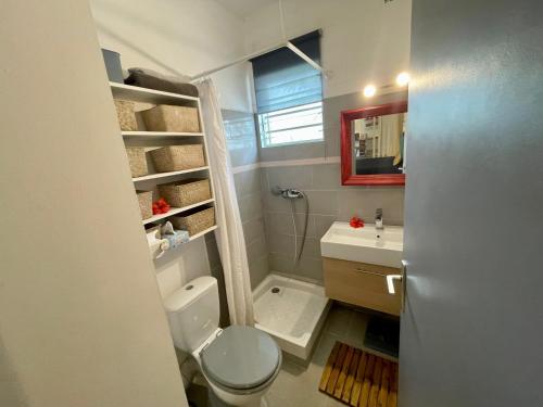 a small bathroom with a toilet and a sink at La Perle de Trou d'Eau in La Saline les Bains