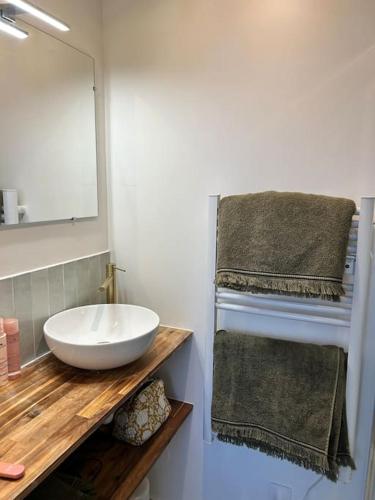une salle de bain avec un lavabo, un miroir et des serviettes dans l'établissement Coup de cœur à Trouville, à Trouville-sur-Mer
