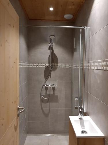 une salle de bain avec douche et lavabo dans l'établissement Chalet Génie des Alpages, 8 personnes, proche stations, à Entremont