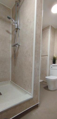 a bathroom with a shower with a toilet and a sink at DARE VALLEY ACCOMMODATION in Aberdare