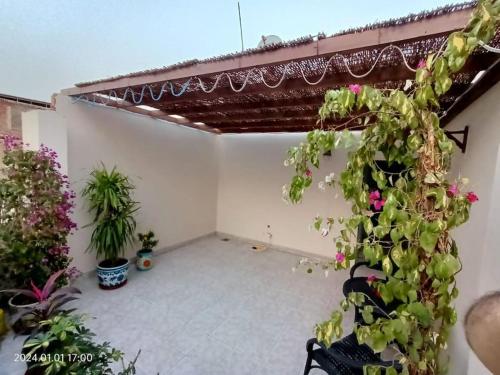 un patio en una casa con macetas en Lovely & Calm Rooftop in Maadi 5 min from the Nile, en El Cairo