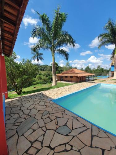 a pool with a palm tree and a house at Sitio Virtual Net in Lambari