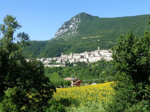 a village on a hill with a field of yellow flowers at Country House Le Grazie in Serra San Quirico