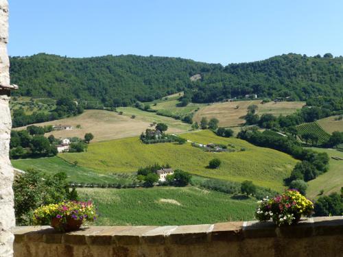 a view of a green hillside with flowers on a wall at Country House Le Grazie in Serra San Quirico