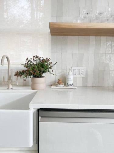 eine Küchentheke mit Spüle und eine Pflanze darauf in der Unterkunft Luxury Poconos Home Near Skiing, Lakes, & Waterparks in Tobyhanna