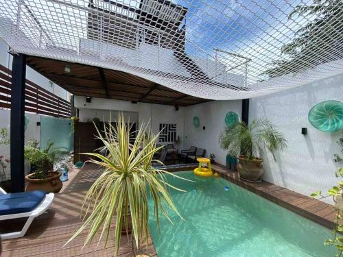 an indoor swimming pool with plants and a skylight at Casa Destinos in Puerto Morelos