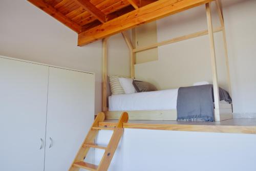 a bunk bed in a room with a ladder at Draig House in Trevelin
