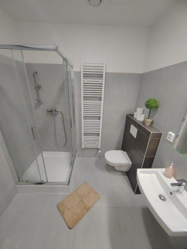 a bathroom with a shower and a toilet and a sink at Skořepka15 apartment Brno-střed in Brno