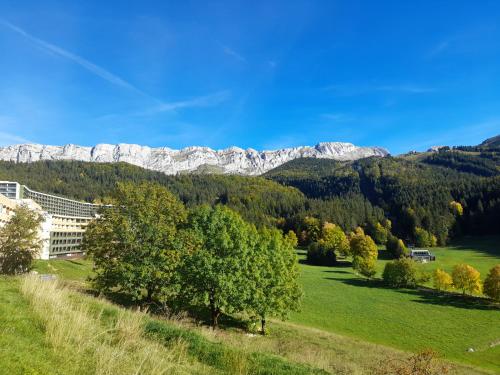 a green field with trees and mountains in the background at les glovettes Villard de lans in Villard-de-Lans