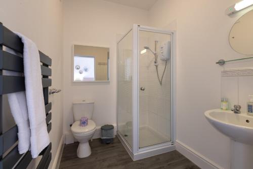 a bathroom with a shower and a toilet and a sink at Y Glan Neigr in Rhosneigr