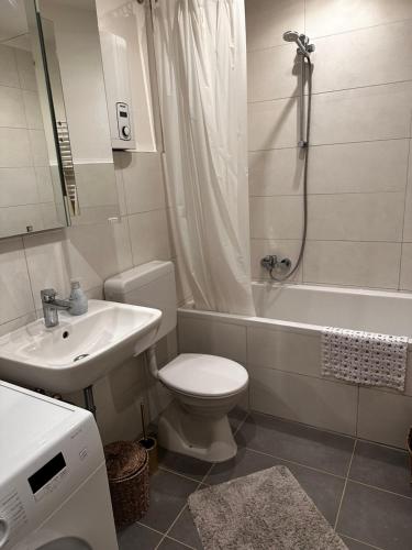 a bathroom with a toilet and a sink and a shower at Gemütliche Ferienwohnung in Uelzen mit eigenem Garten in Uelzen