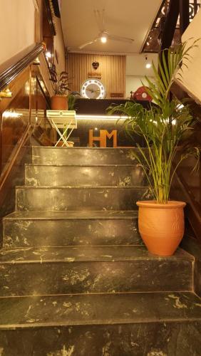a set of stairs with a potted plant on them at Hotel Velvet Horizon in Chandīgarh