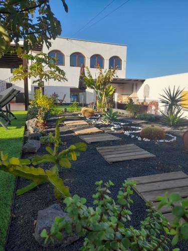 un jardin avec des rochers et des plantes devant un bâtiment dans l'établissement Villa Carpe Diem en Puerto del Carmen, à Puerto del Carmen