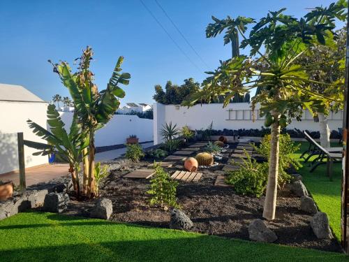 un jardin planté de palmiers, de rochers et d'herbes dans l'établissement Villa Carpe Diem en Puerto del Carmen, à Puerto del Carmen