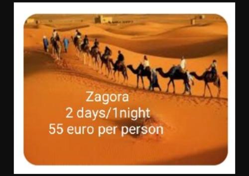 un gruppo di persone a cavallo nel deserto di Riad Tifor a Marrakech