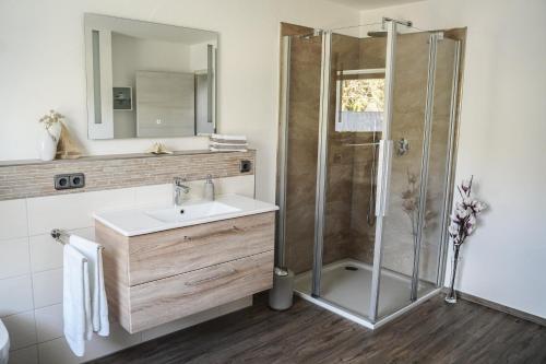 a bathroom with a shower and a sink at Ferienhaus Eifelwind Kamberg in Hellenthal