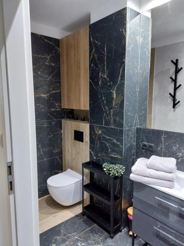 a bathroom with a toilet and a sink at Głogów przy Grodzkiej in Głogów