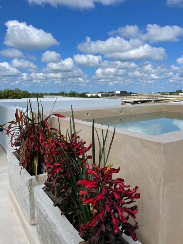 un planteur de plantes rouges sur un bâtiment dans l'établissement DOI 45 Apartment, à Playa del Carmen
